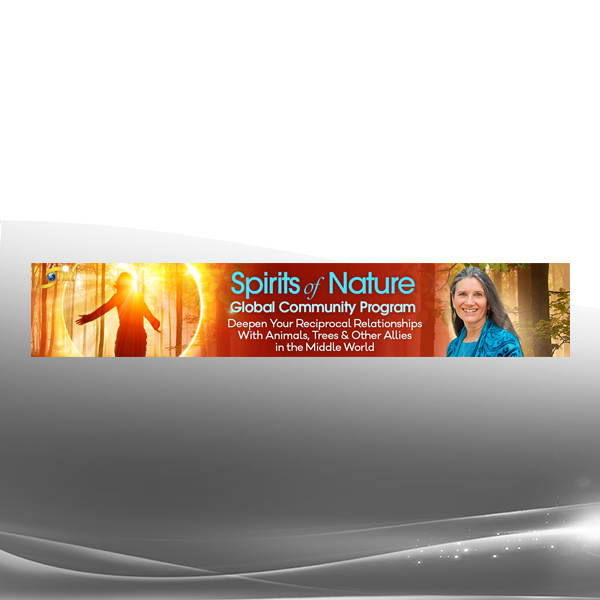 Sandra Ingerman - Spirits of Nature Global Community Program