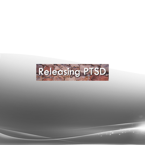 Steve Andreas - Releasing PTSD