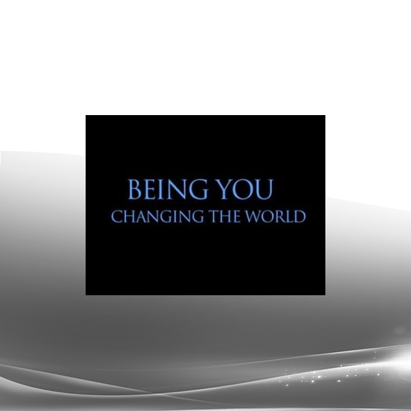 Dain Heer - Being You Changing the World