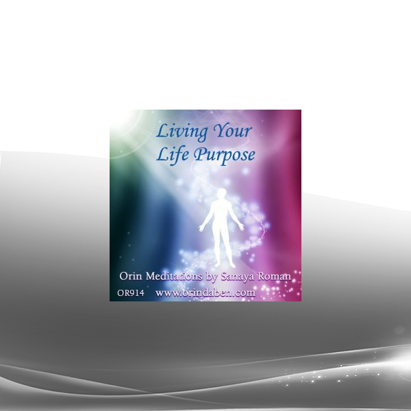 Sanaya and Orin - Living Your Life Purpose
