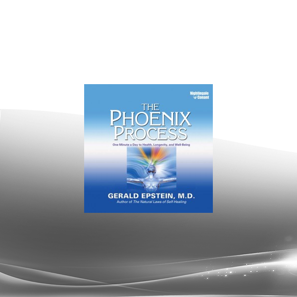 Gerald Epstein - The Phoenix Process