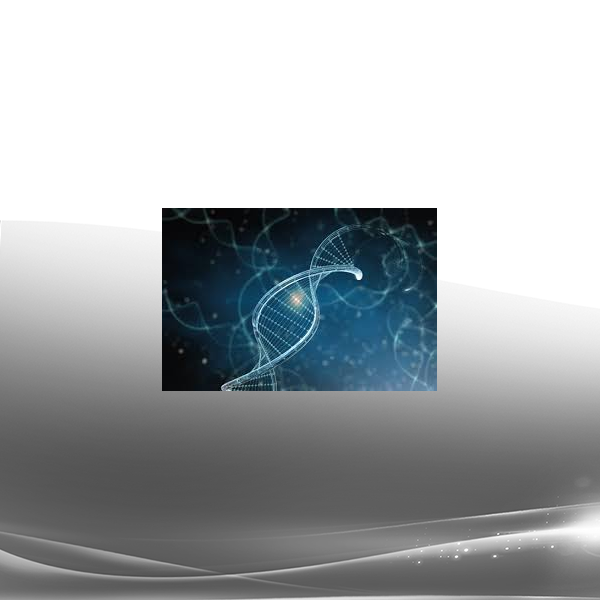 Joseph Riggio & Al Ridenhour - Generative Flow Highlights