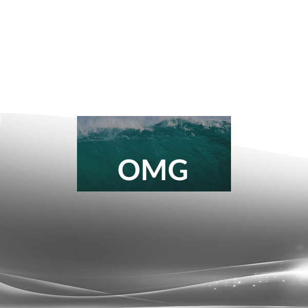 Amir Zoghi - The OMG Program