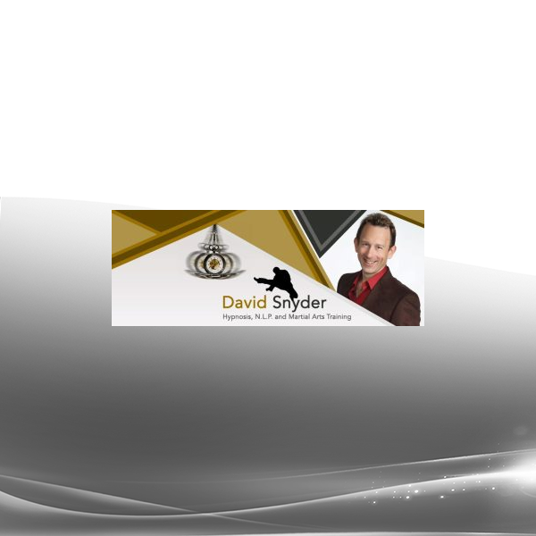 David Snyder - 10x Courses Bundle