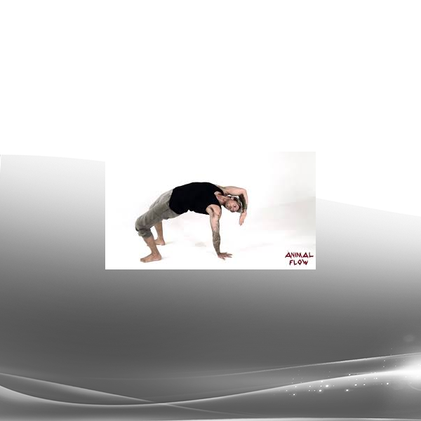 Ernest Rossi, Ph.D. - The Ultradian Healing Response - Mind-Body Healing in Every Day Life