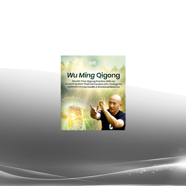 Grand Master Nan Lu - Wu Ming Qigong 2024