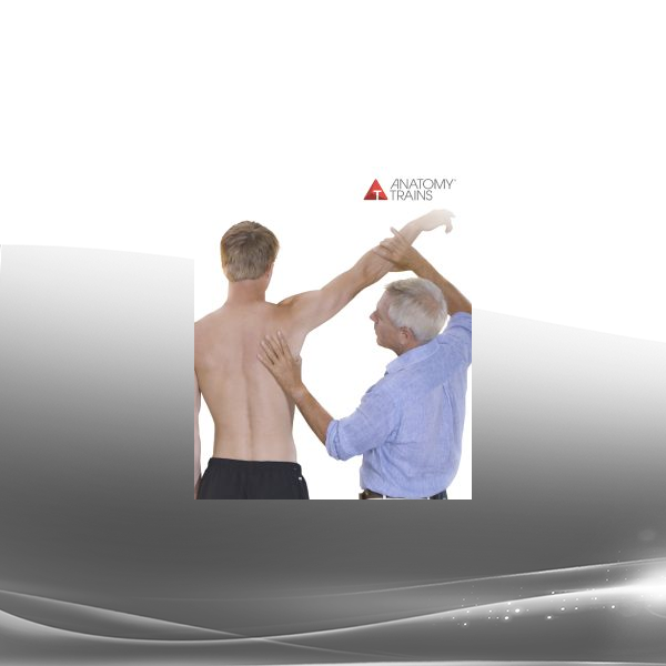 Tom Myers - Freeing The Shoulders and Arms