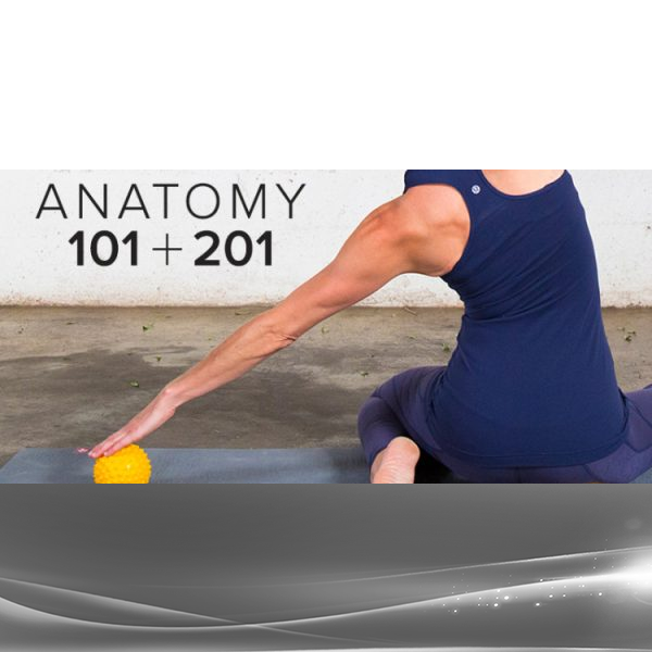 Tom Myers & Karin Gurtner - Anatomy 101 + Anatomy 201