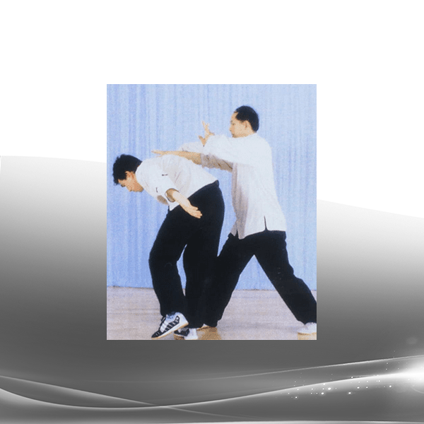 Yang Jwing Ming - Tai Chi Pushing Hands Courses 1 - 4