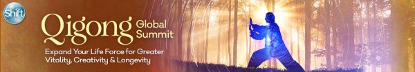 The Shift Network - Top 5 Qigong Global Summit Recordings
